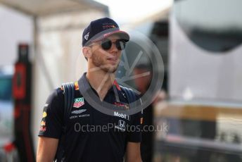 World © Octane Photographic Ltd. Formula 1 – German GP - Paddock. Aston Martin Red Bull Racing RB15 – Pierre Gasly. Hockenheimring, Hockenheim, Germany. Friday 26th July 2019.