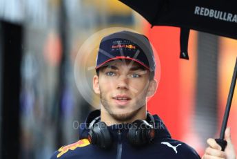 World © Octane Photographic Ltd. Formula 1 – German GP - Paddock. Aston Martin Red Bull Racing RB15 – Pierre Gasly. Hockenheimring, Hockenheim, Germany. Sunday 28th July 2019.