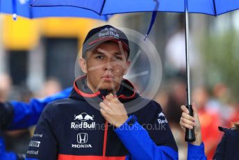 World © Octane Photographic Ltd. Formula 1 – German GP - Paddock. Scuderia Toro Rosso STR14 – Alexander Albon. Hockenheimring, Hockenheim, Germany. Sunday 28th July 2019.