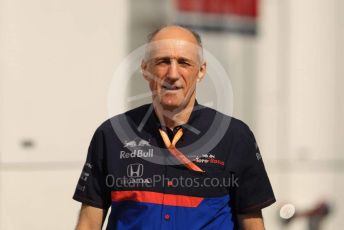 World © Octane Photographic Ltd. Formula 1 - German GP - Paddock. Franz Tost – Team Principal of Scuderia Toro Rosso. Hockenheimring, Hockenheim, Germany. Thursday 25th July 2019.