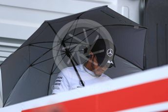 World © Octane Photographic Ltd. Formula 1 – Hungarian GP - Drivers Parade. Mercedes AMG Petronas Motorsport AMG F1 W10 EQ Power+ - Lewis Hamilton. Hungaroring, Budapest, Hungary. Sunday 4th August 2019.