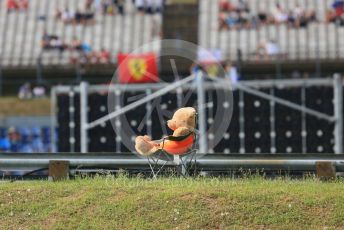 World © Octane Photographic Ltd. Formula 1 – Hungarian GP - Practice 1. Marshal bear. Hungaroring, Budapest, Hungary. Friday 2nd August 2019.