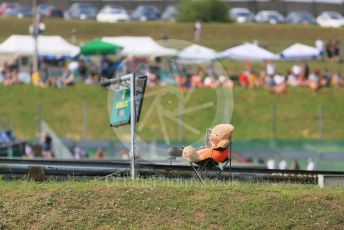 World © Octane Photographic Ltd. Formula 1 – Hungarian GP - Practice 1. Marshal bear. Hungaroring, Budapest, Hungary. Friday 2nd August 2019.