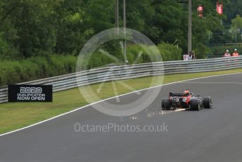 World © Octane Photographic Ltd. Formula 1 – Hungarian GP - Practice 2. Aston Martin Red Bull Racing RB15 – Max Verstappen. Hungaroring, Budapest, Hungary. Friday 2nd August 2019.