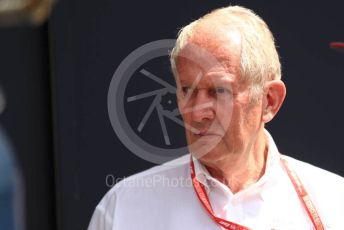 World © Octane Photographic Ltd. Formula 1 - Hungarian GP - Practice 3. Helmut Marko - advisor to the Red Bull GmbH Formula One Teams and head of Red Bull's driver development program. Hungaroring, Budapest, Hungary. Saturday 3rd August 2019.