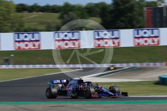 World © Octane Photographic Ltd. Formula 1 – Hungarian GP - Qualifying. Scuderia Toro Rosso STR14 – Alexander Albon. Hungaroring, Budapest, Hungary. Saturday 3rd August 2019.