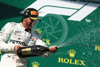 World © Octane Photographic Ltd. Formula 1 – Hungarian GP - Podium. Mercedes AMG Petronas Motorsport AMG F1 W10 EQ Power+ - Lewis Hamilton. Hungaroring, Budapest, Hungary. Sunday 4th August 2019.