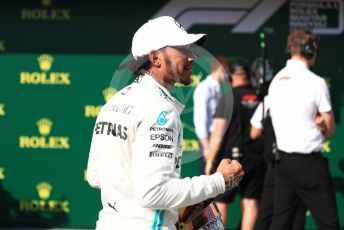World © Octane Photographic Ltd. Formula 1 – Hungarian GP - Parc Ferme. Mercedes AMG Petronas Motorsport AMG F1 W10 EQ Power+ - Lewis Hamilton. Hungaroring, Budapest, Hungary. Sunday 4th August 2019.