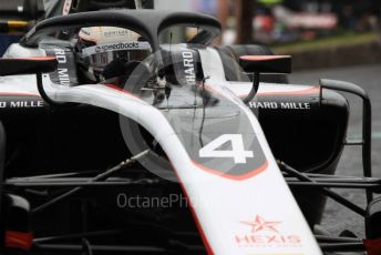 World © Octane Photographic Ltd. FIA Formula 2 (F2) – Hungarian GP - Qualifying. ART Grand Prix - Nyck de Vries. Hungaroring, Budapest, Hungary. Friday 2nd August 2019.