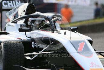 World © Octane Photographic Ltd. FIA Formula 3 (F3) – Hungarian GP – Qualifying. ART Grand Prix - David Beckmann. Hungaroring, Budapest, Hungary. Saturday 3rd August 2019.