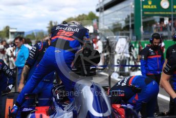 World © Octane Photographic Ltd. Formula 1 – Italian GP - Grid. Scuderia Toro Rosso STR14 – Daniil Kvyat. Autodromo Nazionale Monza, Monza, Italy. Sunday 8th September 2019.