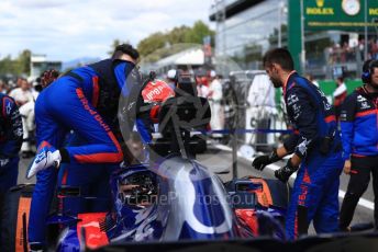 World © Octane Photographic Ltd. Formula 1 – Italian GP - Grid. Scuderia Toro Rosso STR14 – Daniil Kvyat. Autodromo Nazionale Monza, Monza, Italy. Sunday 8th September 2019.