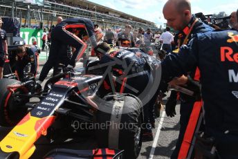 World © Octane Photographic Ltd. Formula 1 – Italian GP - Grid. Aston Martin Red Bull Racing RB15 – Alexander Albon. Autodromo Nazionale Monza, Monza, Italy. Sunday 8th September 2019.