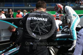 World © Octane Photographic Ltd. Formula 1 – Italian GP - Grid. Mercedes AMG Petronas Motorsport AMG F1 W10 EQ Power+ - Lewis Hamilton. Autodromo Nazionale Monza, Monza, Italy. Sunday 8th September 2019.