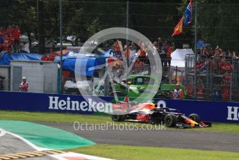 World © Octane Photographic Ltd. Formula 1 – Italian GP - Race. Aston Martin Red Bull Racing RB15 – Max Verstappen. Autodromo Nazionale Monza, Monza, Italy. Sunday 8th September 2019.