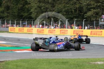 World © Octane Photographic Ltd. Formula 1 – Italian GP - Race. Scuderia Toro Rosso - Pierre Gasly. Autodromo Nazionale Monza, Monza, Italy. Sunday 8th September 2019.
