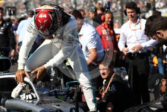 World © Octane Photographic Ltd. Formula 1 – Japanese GP - Grid. Mercedes AMG Petronas Motorsport AMG F1 W10 EQ Power+ - Lewis Hamilton. Suzuka Circuit, Suzuka, Japan. Sunday 13th October 2019.