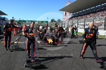 World © Octane Photographic Ltd. Formula 1 – Japanese GP - Grid. Aston Martin Red Bull Racing RB15 – Alexander Albon. Suzuka Circuit, Suzuka, Japan. Sunday 13th October 2019.