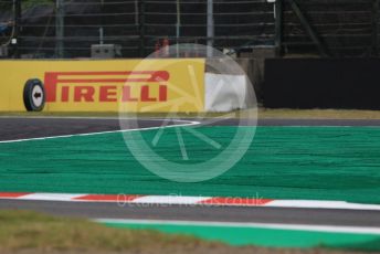 World © Octane Photographic Ltd. Formula 1 – Japanese GP - Practice 1. Astroturf at chicane. Suzuka Circuit, Suzuka, Japan. Friday 11th October 2019.