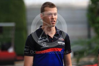 World © Octane Photographic Ltd. Formula 1 – Singapore GP - Paddock. Scuderia Toro Rosso STR14 – Daniil Kvyat. Marina Bay Street Circuit, Singapore. Thursday 19th September 2019.