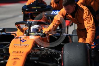 World © Octane Photographic Ltd. Formula 1 – United States GP - Grid. McLaren MCL34 – Lando Norris. Circuit of the Americas (COTA), Austin, Texas, USA. Sunday 3rd November 2019.