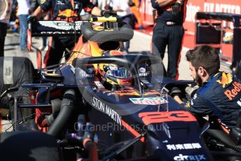 World © Octane Photographic Ltd. Formula 1 – United States GP - Grid. Aston Martin Red Bull Racing RB15 – Alexander Albon. Circuit of the Americas (COTA), Austin, Texas, USA. Sunday 3rd November 2019.