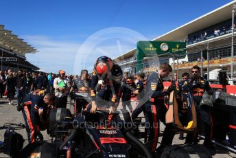 World © Octane Photographic Ltd. Formula 1 – United States GP - Grid. Aston Martin Red Bull Racing RB15 – Alexander Albon. Circuit of the Americas (COTA), Austin, Texas, USA. Sunday 3rd November 2019.