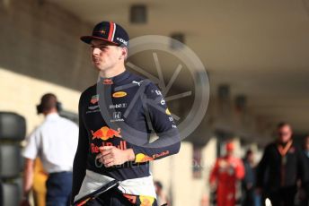 World © Octane Photographic Ltd. Formula 1 – United States GP - Qualifying. Aston Martin Red Bull Racing RB15 – Max Verstappen. Circuit of the Americas (COTA), Austin, Texas, USA. Saturday 2nd November 2019.