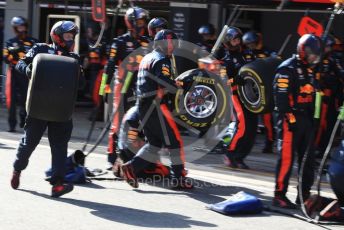 World © Octane Photographic Ltd. Formula 1 – F1 Pre-season Test 2 - Day 2. Aston Martin Red Bull Racing RB16 – Alexander Albon pit stop practice. Circuit de Barcelona-Catalunya, Spain. Thursday 27th February 2020.