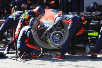 World © Octane Photographic Ltd. Formula 1 – F1 Pre-season Test 2 - Day 2. Aston Martin Red Bull Racing RB16 – Alexander Albon pit stop practice. Circuit de Barcelona-Catalunya, Spain. Thursday 27th February 2020.