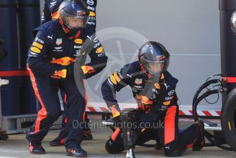 World © Octane Photographic Ltd. Formula 1 – F1 Pre-season Test 2 - Day 2. Aston Martin Red Bull Racing RB16 – Alexander Albon pit stop practice. Circuit de Barcelona-Catalunya, Spain. Thursday 27th February 2020.