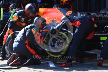 World © Octane Photographic Ltd. Formula 1 – F1 Pre-season Test 2 - Day 2. Aston Martin Red Bull Racing RB16 – Alexander Albon pit stop practice. Circuit de Barcelona-Catalunya, Spain. Thursday 27th February 2020.