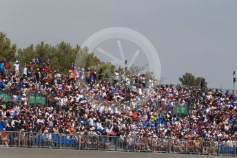 World © Octane Photographic Ltd. Formula 1 – French Grand Prix - Paul Ricard. Saturday 23rd July 2022. Practice 3. A lot of fans attend the french GP.