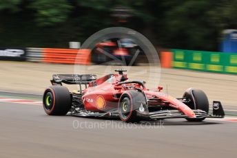 World © Octane Photographic Ltd. Formula 1– Hungarian Grand Prix - Hungaroring, Hungary. Friday 29th July 2022 Practice 1. Scuderia Ferrari F1-75 - Charles Leclerc.