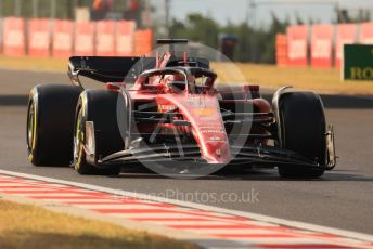 World © Octane Photographic Ltd. Formula 1 – Formula 1 – Hungarian Grand Prix - Hungaroring, Hungary. Friday 29th July 2022 Practice 2. Scuderia Ferrari F1-75 - Charles Leclerc.