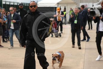 World © Octane Photographic Ltd. Formula 1 – British Grand Prix - Silverstone. Friday 1st July 2022. Paddock. Mercedes-AMG Petronas F1 Team F1 W13 - Lewis Hamilton with his dog Roscoe.