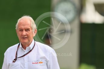 World © Octane Photographic Ltd. Formula 1 – Singapore Grand Prix - Marina Bay, Singapore. Sunday 2nd October 2022. Arrivals. Oracle Red Bull Racing advisor - Helmut Marko