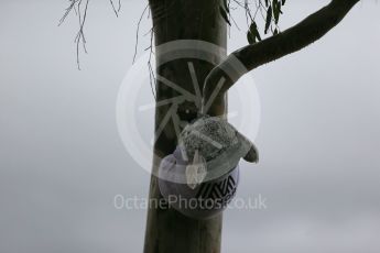 World © Octane Photographic Ltd. Koloa Bears. Friday 18th March 2016, F1 Australian GP - Melbourne Walk, Melbourne, Albert Park, Australia. Digital Ref : 1527LB1D1676